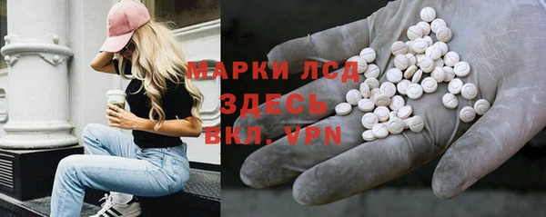 сатива Краснослободск