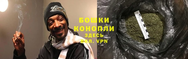 сатива Краснослободск