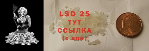 сатива Краснослободск