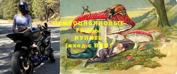прущая мука Ладушкин