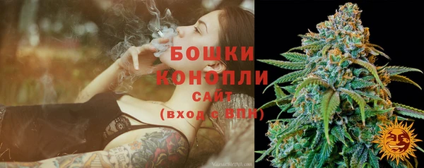 гидра Бугульма